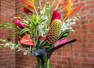 HAWAIIAN PINCUSHION PROTEA