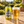 Illustrative pilsner can beside a glass of golden beer on a sunlit outdoor counter