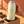 Hand lifting a Maplewood Lounge Lager can from a cropped carton; illustrative selection