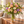 Illustrative mixed flower bouquet in a clear vase on a sunlit table at home