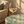 Close-up of white wine in a glass